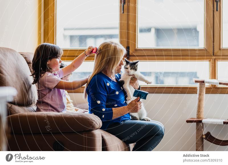 Fokussiertes Mädchen bürstet die Haare einer Frau mit Katze Tochter Mutter Wohnzimmer Kind Pflege Zusammensein heimwärts Sofa Eltern bezaubernd niedlich