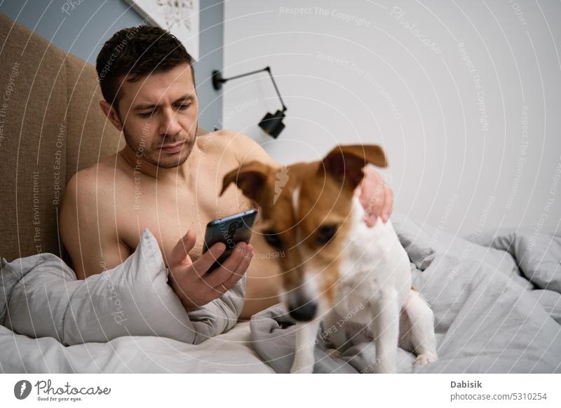 Mann ruht sich im Bett mit Hund aus und benutzt smarpthone Schlafzimmer LAZY Haustier benutzend Sucht Smartphone Tier Telefon Morgen Lügen online bezaubernd