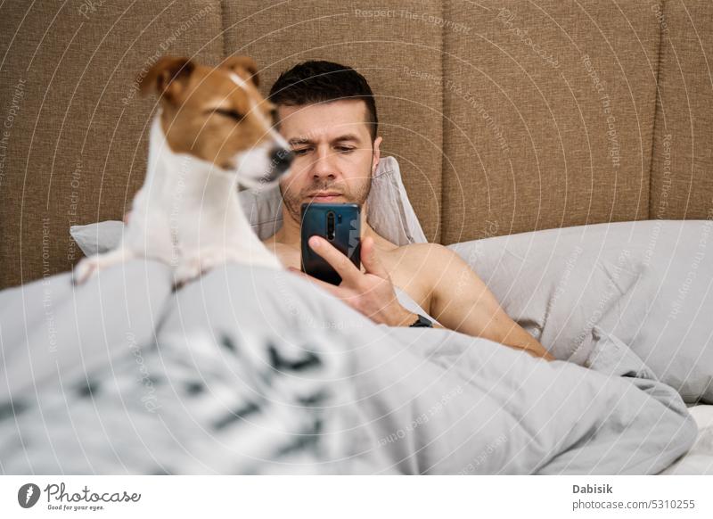 Mann ruht sich im Bett mit Hund aus und benutzt smarpthone Schlafzimmer LAZY Haustier benutzend Sucht Smartphone Tier Telefon Morgen Lügen online bezaubernd