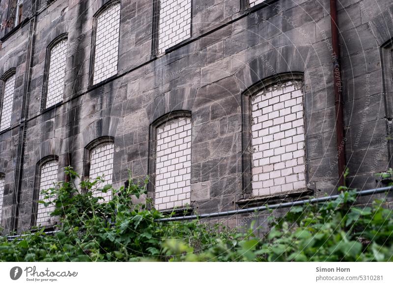 Zugemauerte Fenster in alter Hausfassade zugemauert undurchsichtig geschlossen verbarrikadiert Strukturen & Formen Strukturwandel Leerstand Fassade abweisend