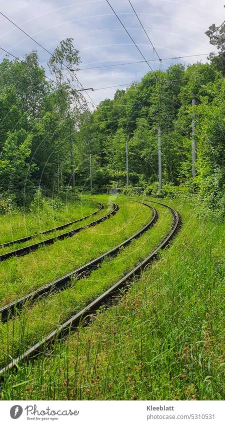 Bahnschienen eingebettet im satten grünen Gras und Wald Gleise Außenaufnahme Schienennetz Öffentlicher Personennahverkehr Eisenbahn Straßenbahn Personenverkehr