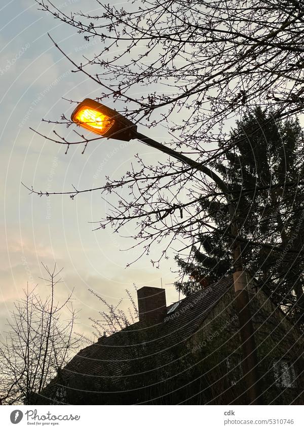 Eine Straßenlaterne leuchtet gelb-orange in der Dämmerung | der Tag neigt sich dem Ende zu. Straßenbeleuchtung Beleuchtung Laterne Licht Lampe Himmel