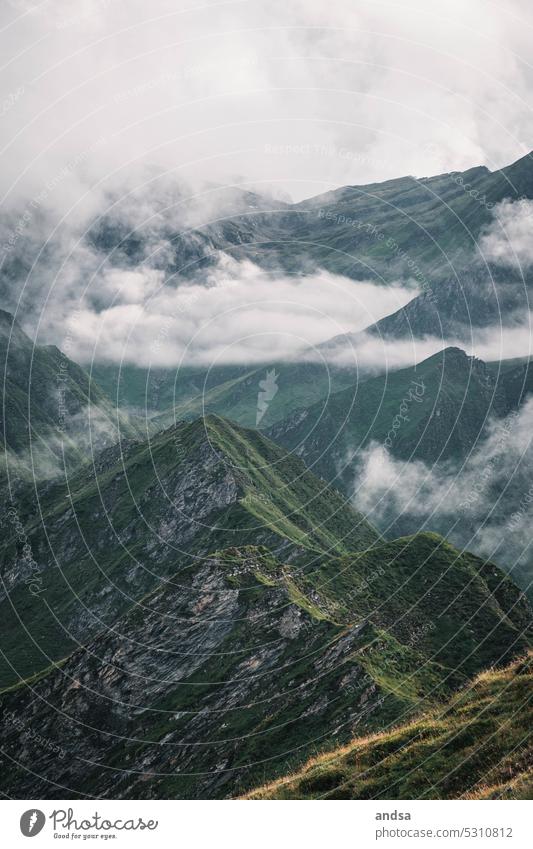 Gipfelkette in der Schweiz Nebel Wolken Hochnebel Berge u. Gebirge Sommer wandern grün Landschaft Natur Alpen Freiheit Menschenleer Panorama (Aussicht) Ferne