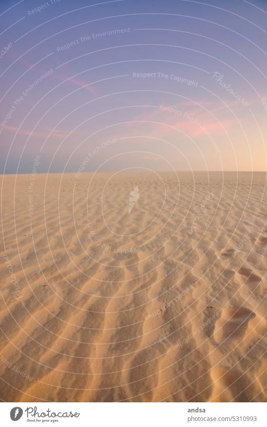 Sanddüne bei Sonnenuntergang Düne Wüste Ferien & Urlaub & Reisen Landschaft Natur Sonnenaufgang Form Wind Wärme Sommer Abenteuer