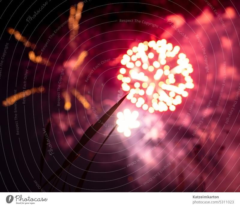 Ein Feuerwerk wie eine Blume Kunst Design Element Licht rot gelb Feier Hintergrund Party schwarz Nacht Stadtfest funkeln glühend dunkel hell Explosion Farbfoto