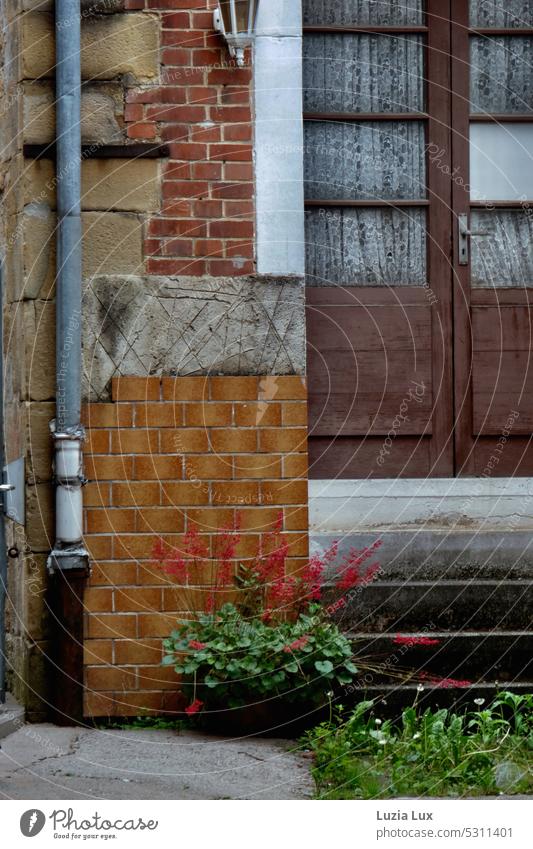 Hauseingang, Treppen und allerlei Mauerwerk nebst Regenrinne und Blütenpracht Klinker bunt Backsteine geschlossen Gebäude Wand Fassade Architektur Stadt Tag
