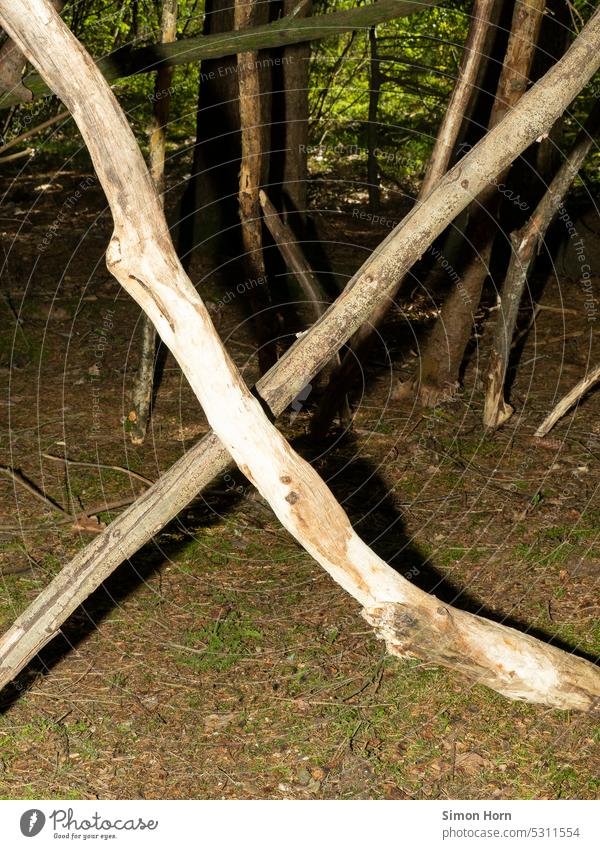 Lager im Wald Lager bauen Äste Holz Bäume Kein Eintritt verboten Durchgang Kinderspiel Natur Baumaterial natürlich Strukturen & Formen Konstruktion