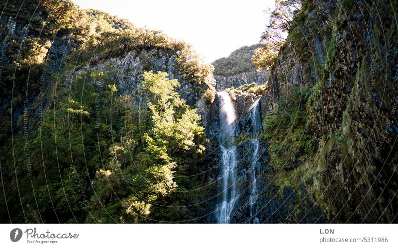 Insel Madeira Portugal Wandern an den Levadas künstlicher Wasserlauf wandern Kanal Natur Tourismus Europa Portugiesisch Madeira-Insel Reiseziel Urlaub