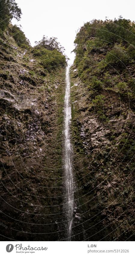 Insel Madeira Portugal Wandern an den Levadas künstlicher Wasserlauf wandern Kanal Natur Tourismus Europa Portugiesisch Madeira-Insel Reiseziel Urlaub