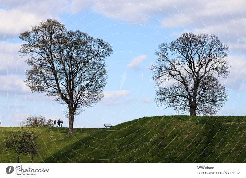 Auf einem Hügel unter einem großen Baum stehen drei Freunde zusammen und genießen die Aussicht Frühling Bäume Wall Menschen Leute schauen Pause Gras Wolken