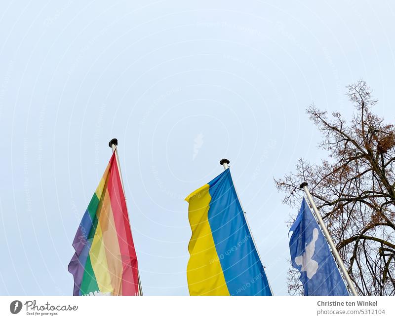 Regenbogen / Ukraine / Friedenstaube. Drei Flaggen vor hellblauem Himmel Regenbogenflagge Ukraineflagge Symbole & Metaphern Friedenswunsch Solidarität Hoffnung