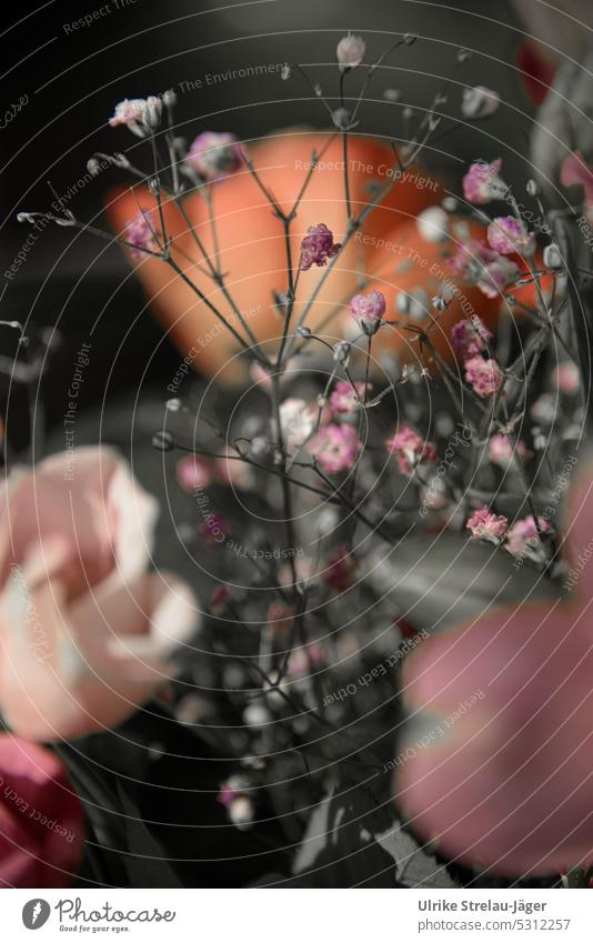Schleierkraut in einem Blumenstrauss | farbreduziert rosa Blumenstrauß Blüte orange zart Dekoration Dekoration & Verzierung besonderer Anlaß Muttertag