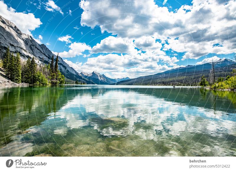 wolkensee Medicine Lake beeindruckend weite Bergsee Reflexion & Spiegelung Ferne Fernweh besonders Ferien & Urlaub & Reisen fantastisch Natur Rocky Mountains
