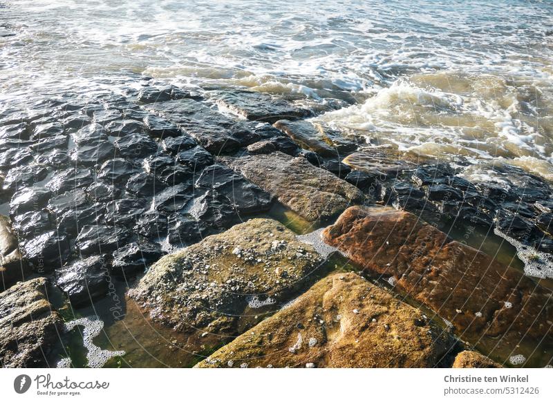 Steinbuhne in der Nordsee Buhne Steinaufschüttung Nordseeküste Steine Wasser Meer Natur glänzend nass schimmern Reflexion & Spiegelung Wellenbrecher