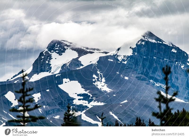 reste kalt Eis Klimawandel Klimaschutz Landschaft Nordamerika Umweltschutz Berge u. Gebirge Ferne Kanada Felsen Kälte beeindruckend fantastisch besonders