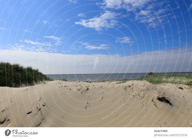 Blick über eine Düne auf der Insel Borkum auf die Nordsee Gras Sand Urlaub Strand Meer See Ozean Horizont Ferien sonnig wolkig bewölkt Himmel blau Erholung