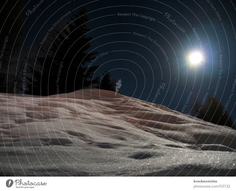 Schwester Mond Nacht Vollmond weiß Tanne Nachtaufnahme Langzeitbelichtung Hügel Schweiz Kanton Graubünden Winter Schnee Landschaft Lampe glänzend