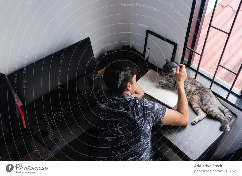 Mann streichelt Katze in der Nähe des Computers Fotograf freiberuflich Fotoapparat Streicheln heimwärts Arbeitsplatz Pause Schreibtisch männlich Apparatur Gerät