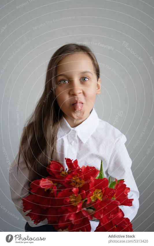 Lustiges Mädchen mit roten Tulpen im Zimmer stehend Blume Zunge zeigen lustig Gesicht machen kindisch Blütezeit Freude Blumenstrauß Kind Grimasse Vorschein