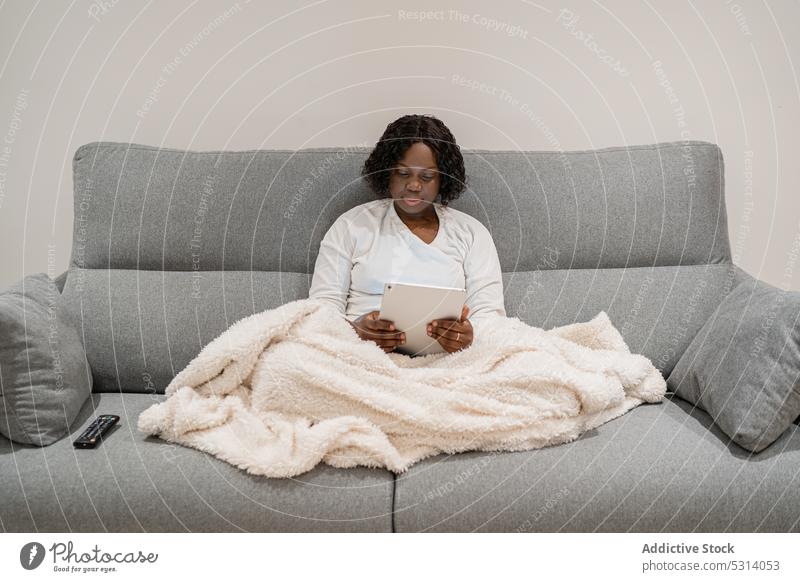 Fokussierte schwarze Frau, die auf dem Sofa auf einem Tablet surft Tablette benutzend Browsen Konzentration Komfort online heimwärts Internet gemütlich Surfen
