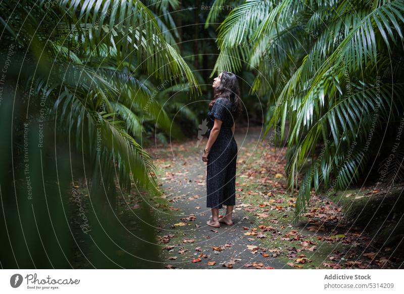 Frau steht in einem tropischen Garten mit Palmen Handfläche Sommer Park Natur Barfuß lässig Mädchen Baum Azoren Portugal Laufsteg Weg schlendern Windstille