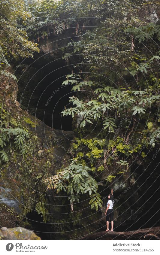 Frau steht auf umgestürztem Baumstamm Wald Kofferraum Gleichgewicht Natur Region Azoren Berge u. Gebirge Wasser Tourist Sommer Reisender reisen Landschaft