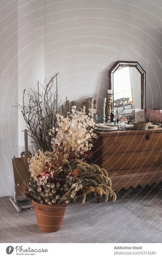 Interieur eines Zimmers mit Trockenblumen im Topf Innenbereich Dekor Design Raum Schrank dekorativ Dekoration & Verzierung Appartement Stil Spiegel flach