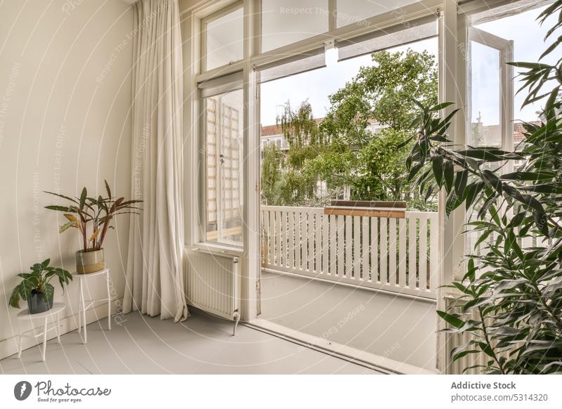 Interieur eines modernen Zimmers mit Topfpflanzen Appartement Innenbereich Balkon Pflanze Fenster Raum eingetopft geräumig Licht heimwärts Design wohnbedingt