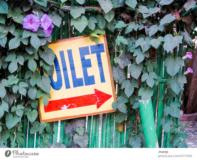 Toilet -> Schriftzeichen Toilette Hinweisschild Pflanze Zaun grün Schilder & Markierungen Pfeil Richtung