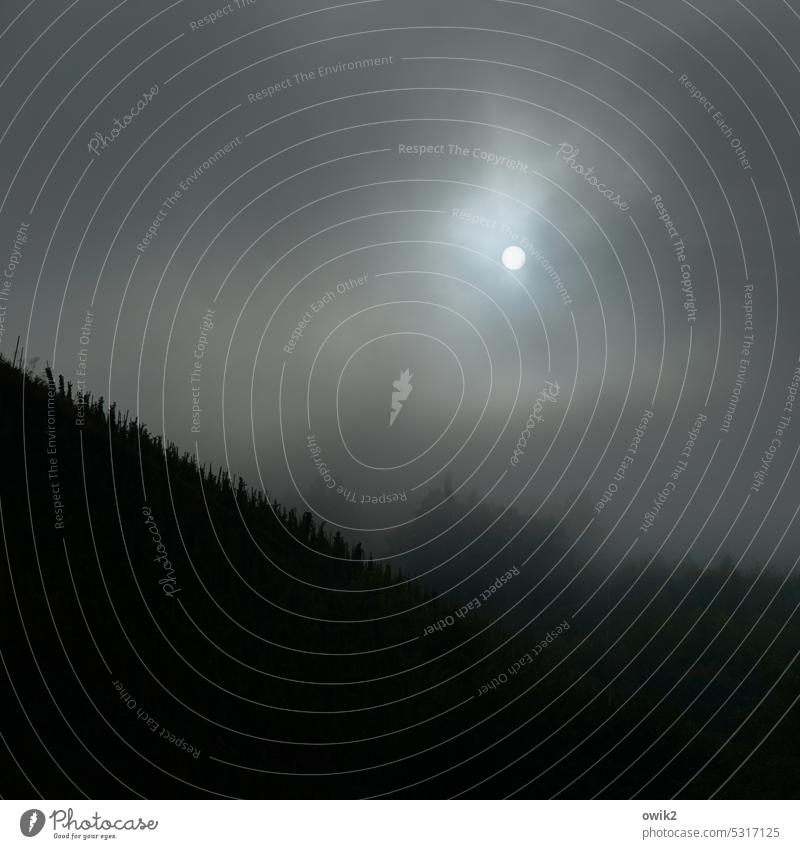 Weinberg im Nebel dunkel düster Hügel Landschaft Außenaufnahme Stimmungsbild Morgennebel Morgendämmerung Sonne Nebelschleier geheimnisvoll mystisch
