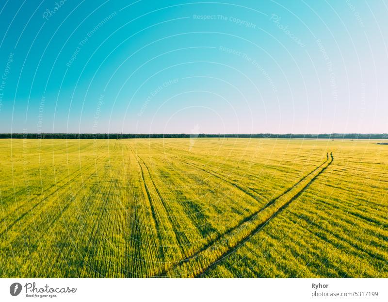 Klarer Himmel über einer ländlichen Landschaft an einem sonnigen Sommerabend. . Landwirtschaftliche Sommer Feld. Luftaufnahme von Landstraße in Feld ländliche Landschaft. Panorama, Rundumblick