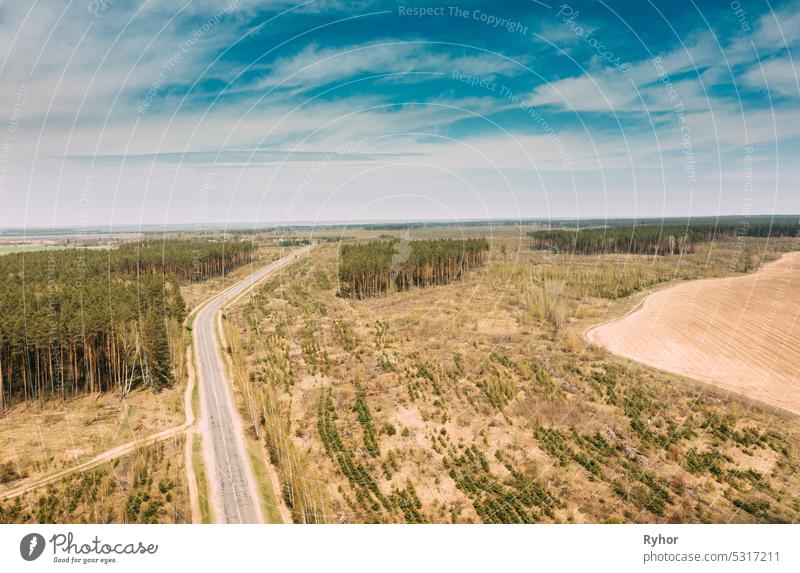 Luftaufnahme einer Autobahnstraße durch die Landschaft des Abholzungsgebiets. Grüner Kiefernwald in Abholzungszone. Draufsicht auf Feld- und Waldlandschaft an einem sonnigen Frühlingstag. Ansicht einer Drohne. Ansicht aus der Vogelperspektive