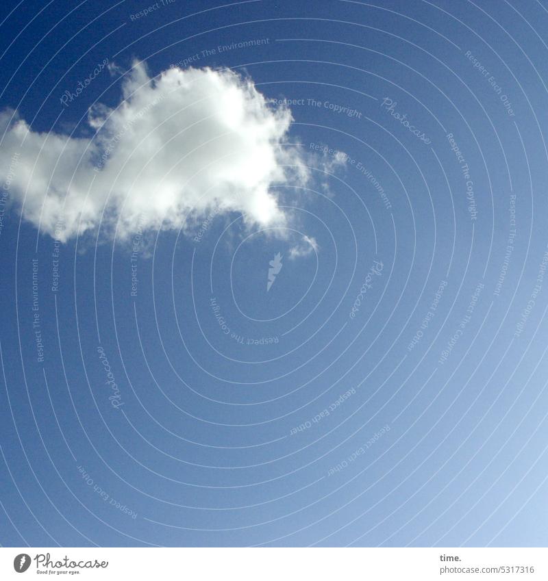 Cumulus Lufticus Wolke Himmel blau sonnig Dunst Atmosphäre oben Natur Wetter Wetterlage Meteorologie Cumuluswolke Haufenwolke Quellwolke Wind Höhe