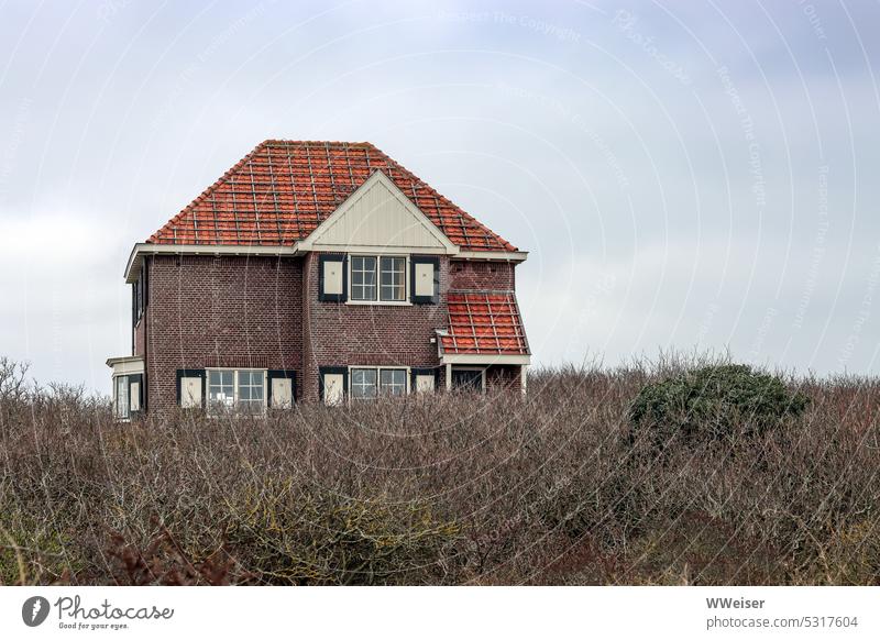 Ein hübsches Ferienhaus ragt aus dem Gestrüpp eines kleinen Waldes an der Küste Haus Landhaus Wohnhaus Urlaub Holland Niederlande Norden nordisch Bäume struppig