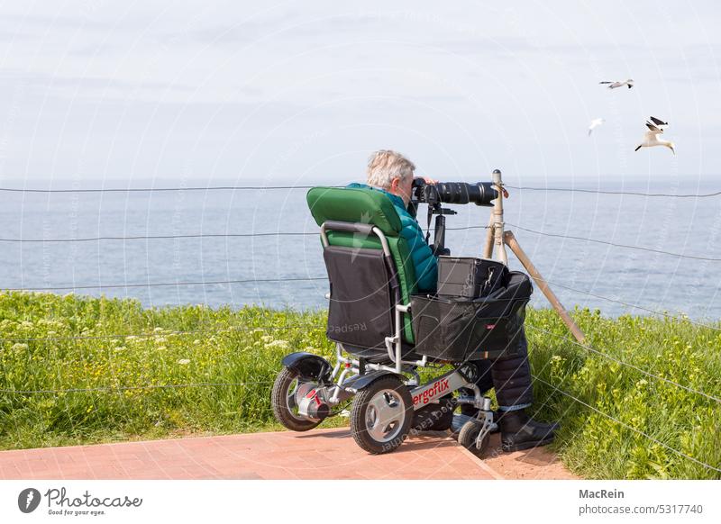 Behinderter Fotograf auf Helgoland auf Motiv suche basstölpel fliegen fotograf fotoapparat behindert rollstuhl kamera teleobjektiv insel helgoland Nordsee