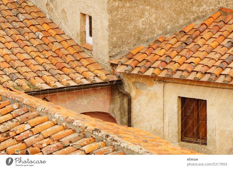 wohnen auf Elba - aneinander gebaute Wohngebäude mit Ziegeldächern Wohnhaus Marciana Alta Ziegeldach Dachziegel Italien Insel Blog Mittelmeer Fenster