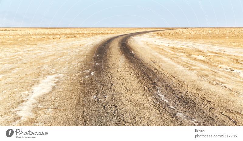 der Boden und die Straße in der Salzwüste Afrika Sand Landschaft Bahn reisen Natur Schmutz trocknen trocken Dürre Horizont malerisch im Freien Reise Süden leer