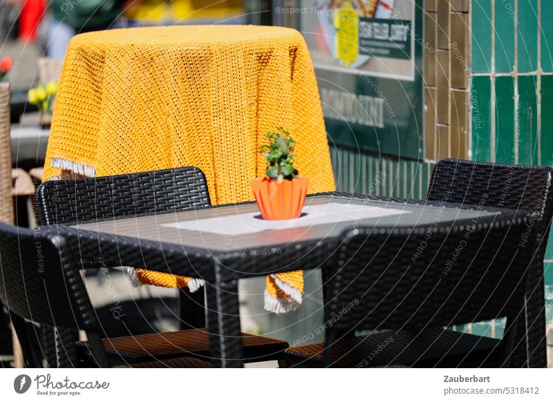 Kleine Pflanze in orangefarbenem Topf vor gelber Tischdecke auf Tisch im Außenbereich eines Restaurants Straßencafé Café draußen außenbereich klein grün