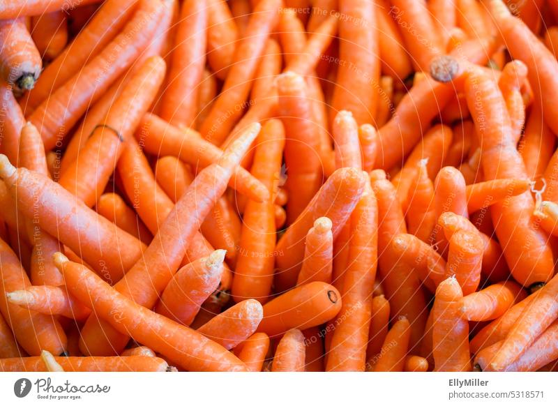 Ein Haufen frischer Möhren Karotten Gemüse Bioprodukte Gesunde Ernährung Vegetarische Ernährung Lebensmittel Gesundheit lecker Farbfoto Vegane Ernährung