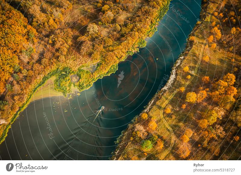 Luftaufnahme eines gelben Waldes und eines Flussmoores in einer Herbstlandschaft. Vogelperspektive von Sumpf Moor. Draufsicht auf schöne europäische Natur aus hoher Position im Herbst. Ansicht einer Drohne
