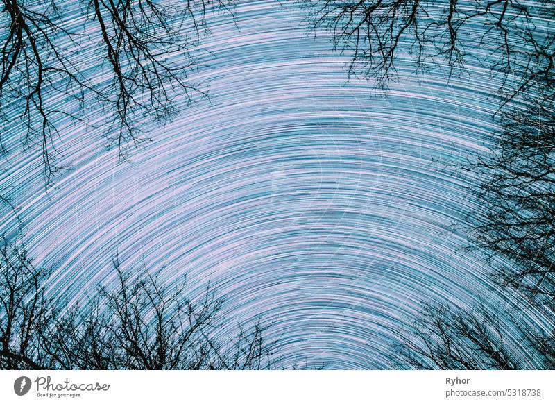 Abstrakte Stern Linien bewegen sich in Sky.spin Trails of Stars Above Baumkronen ohne Laub. Night Rotate Sky Star Hintergrund. Erstaunliche ungewöhnliche Sterne Effekte im Himmel. Helles Blau