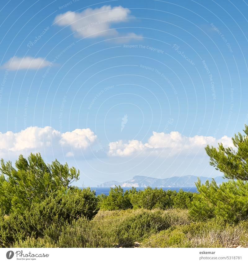 Balearen Formentera Cap de Barberia und Mittelmeer mit Ibiza im Hintergrund Meer Strand Sommer Wasser Sonne Natur Himmel Spanien Küste Landschaft malerisch
