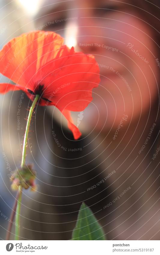 eine frau steckt ihre nase in eine mohnblüte klatschmohn hintergrund unscharf Klatschmohn Blume Natur Pflanze Außenaufnahme rot Blüte roter mohn sonnenlicht