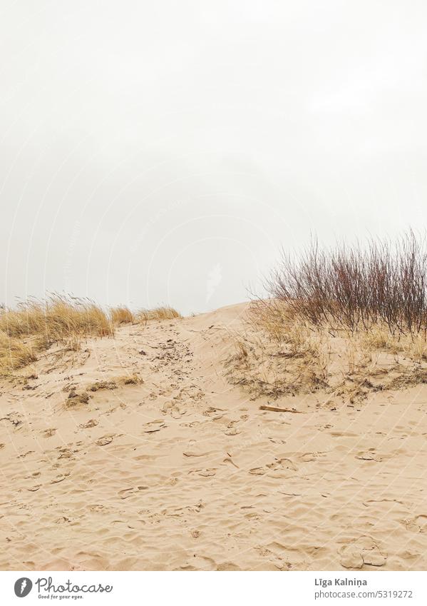Sanddüne Strandlandschaft mit Himmel, Sommerurlaub am Strand Ferien & Urlaub & Reisen Natur Stranddüne wüst Sandstrand Farbfoto Landschaft Küste Wüstensand