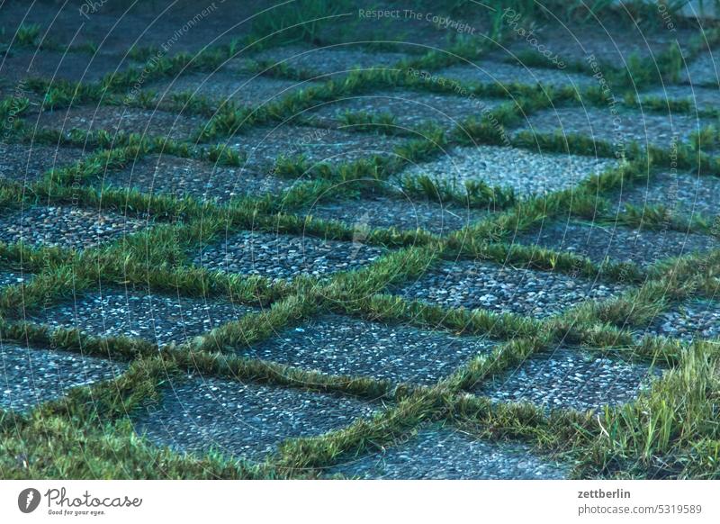 Gehwegplatten mit Lückenbewuchs abend dunkel dämmerung ferien frühjahr garten hecke kleingarten kleingartenkolonie menschenleer nachbarschaft natur pflanze ruhe