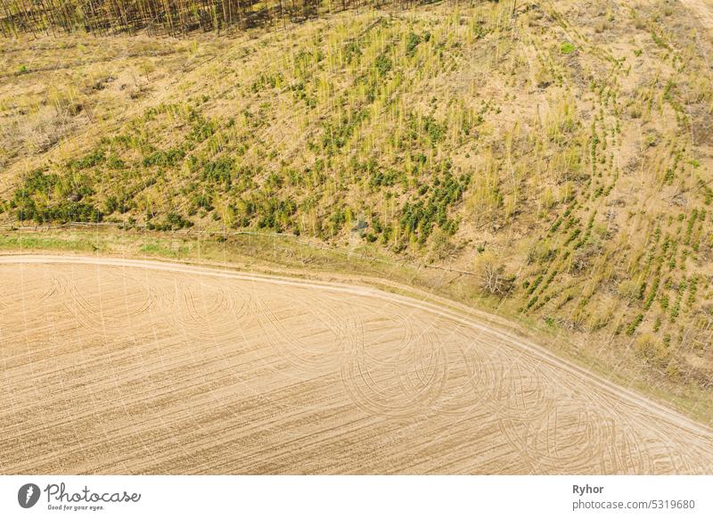 Luftaufnahme einer minimalistischen ländlichen Landschaft. Vogelperspektive der Abholzung. Beginn der landwirtschaftlichen Frühjahrssaison. Traktor Tracks auf gepflügten Feld Oberfläche von landwirtschaftlichen Maschinen. Drone Ansicht