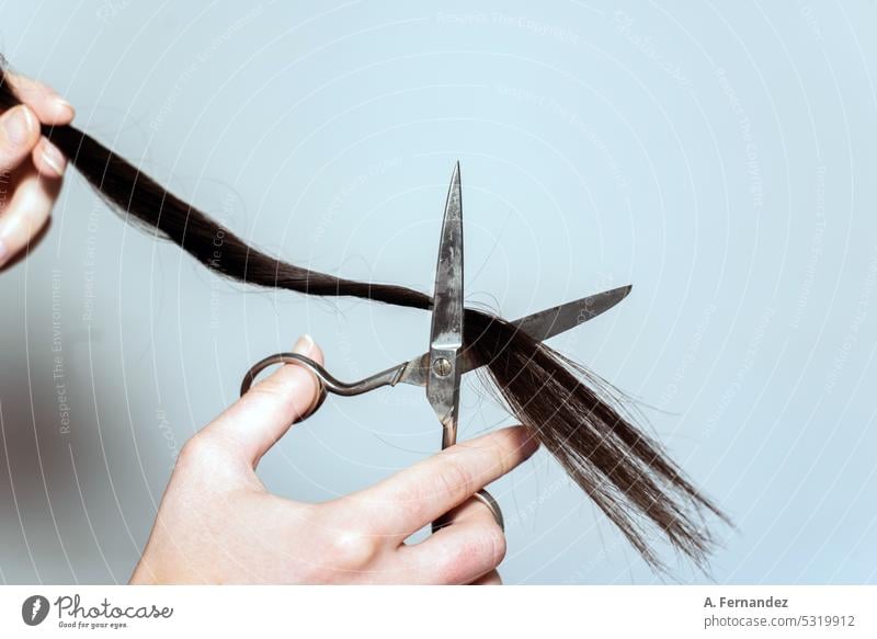 Nahaufnahme einer Frau, die mit einer Schere die Enden eines Teils ihrer langen schwarzen Haare abschneidet Haarschnitt Behaarung Abschnitt Haarpartie