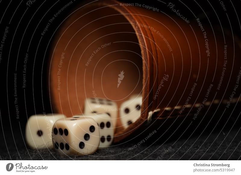 Der Würfelbecher und die Würfel werfen fallen Zahl Einsatz Wetten verlieren gewinnen Casino Entscheidung Glücksspiel Spielen würfeln Erfolg Zufall Spielsucht
