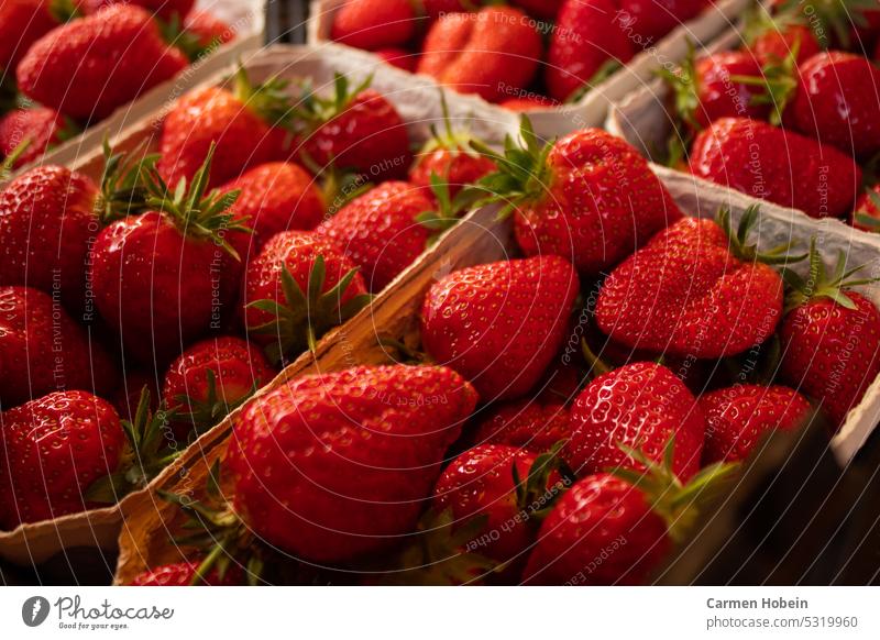 rote Erdbeeren mit grünen Stielen in Verkaufsschalen Schalen lecker süß Verkaufsstand grüne Stiele Lebensmittel Nachtisch Dessert saftig Farbfoto nahaufnahme