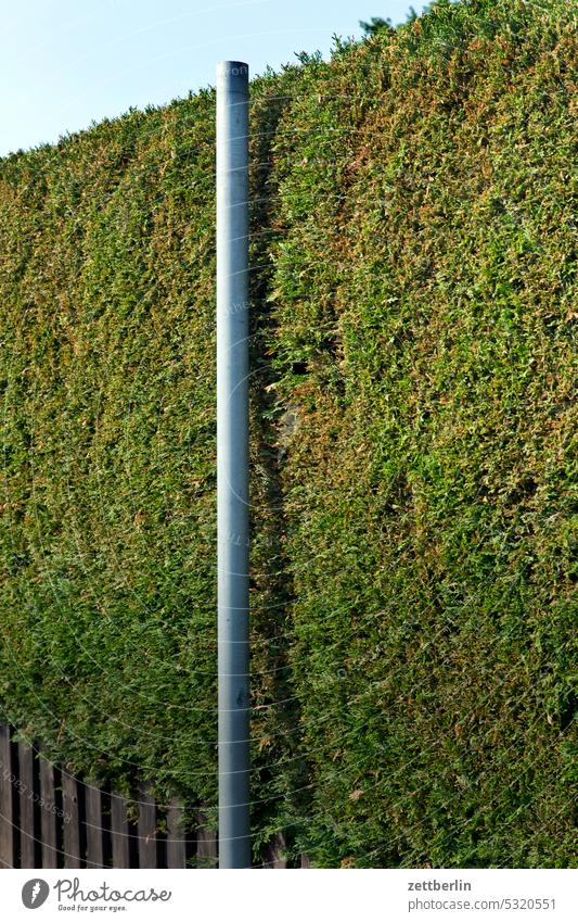 Hecke mit Pfahl 1 hecke thuja blickdicht sichtschutz sonnenschutz windschutz nachbarschaft garten kleingarten schrebergarten heckenhöhe zaun holzzaun lattenzaun